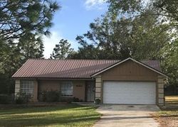 Pre-foreclosure Listing in GRIFFIN VIEW DR LADY LAKE, FL 32159