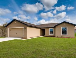 Pre-foreclosure in  BEGONIA CT Kissimmee, FL 34759