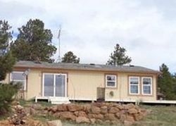 Pre-foreclosure in  FORGE DR Florissant, CO 80816