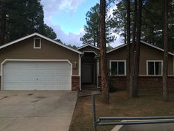 Pre-foreclosure in  N 6TH AVE Show Low, AZ 85901