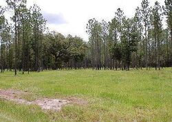 Pre-foreclosure in  NE COUNTY ROAD 219A Melrose, FL 32666