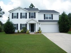 Pre-foreclosure in  CINNAMON DR Aiken, SC 29803