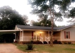 Pre-foreclosure in  PEACE CHAPEL RD Decaturville, TN 38329