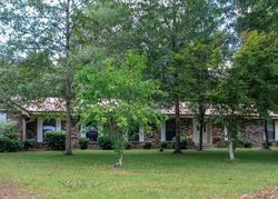 Pre-foreclosure Listing in MACEDONIA RD PETAL, MS 39465