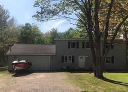 Pre-foreclosure Listing in MANISTEE HEIGHTS DR ELMIRA, MI 49730