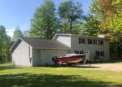 Pre-foreclosure in  MANISTEE HEIGHTS DR Elmira, MI 49730