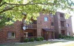 Pre-foreclosure Listing in PEGGY LN APT 10 OAK FOREST, IL 60452