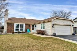 Pre-foreclosure in  SANDY PASS Lake Zurich, IL 60047