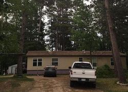 Pre-foreclosure in  SANDY RIVER DR Leonard, MN 56652