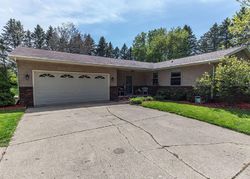 Pre-foreclosure in  KILLDEER DR Mason, MI 48854