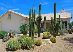 Pre-foreclosure in  W SUMMER SKY DR Tucson, AZ 85743