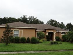 Pre-foreclosure in  MAJESTIC OAKS CT Plant City, FL 33566