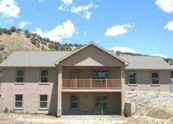 Pre-foreclosure Listing in LANDSEND MOUNTAIN LN PAONIA, CO 81428