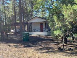 Pre-foreclosure in  W COOLEY ST Show Low, AZ 85901