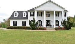 Pre-foreclosure Listing in HOLLEY MILL RD ECLECTIC, AL 36024