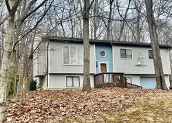 Pre-foreclosure in  HIGH MEADOW DR East Stroudsburg, PA 18302