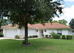 Pre-foreclosure in  RYDELL LN Palm Coast, FL 32164