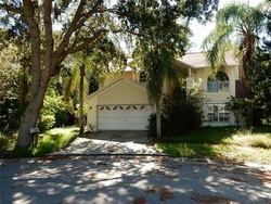 Pre-foreclosure in  WOOD CHUCK AVE Tarpon Springs, FL 34689