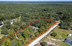 Pre-foreclosure in  NE 161ST PL Fort Mc Coy, FL 32134