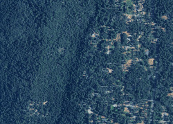 Pre-foreclosure in  FOOLS CANYON RD Georgetown, CA 95634