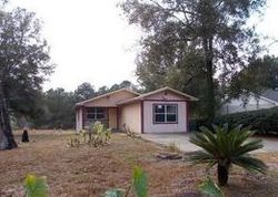 Pre-foreclosure Listing in LOCHMORE CIR SORRENTO, FL 32776