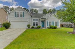 Pre-foreclosure in  HORNED GREBE CT North Charleston, SC 29410