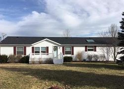 Pre-foreclosure Listing in OAK ST DUNDEE, MI 48131