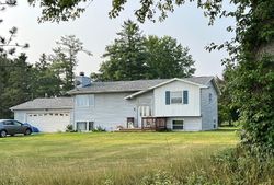 Pre-foreclosure in  W 5 POINT HWY Bellevue, MI 49021