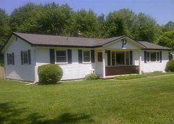 Pre-foreclosure Listing in ORVAL DR FORT GRATIOT, MI 48059