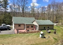 Pre-foreclosure Listing in CLAUVERWIE RD MIDDLEBURGH, NY 12122