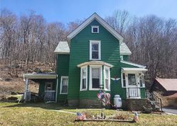 Pre-foreclosure in  OLD ROUTE 17 Roscoe, NY 12776