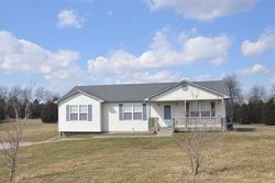 Pre-foreclosure in  SHAWN LN Ekron, KY 40117