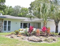 Pre-foreclosure in  HOLLOW OAK CT Tarpon Springs, FL 34689