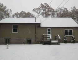 Pre-foreclosure Listing in HOLTON DUCK LAKE RD HOLTON, MI 49425