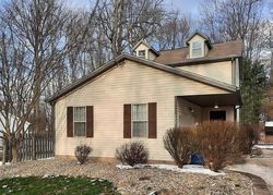 Pre-foreclosure in  LAMB DR Akron, OH 44319