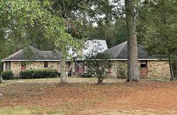 Pre-foreclosure in  CARMEL NEW HOPE RD Monticello, MS 39654