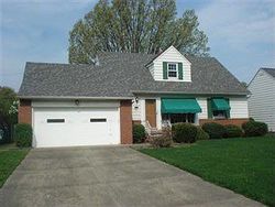 Pre-foreclosure in  KAPEL DR Euclid, OH 44117