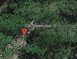 Pre-foreclosure in  STEINKUHLER ST Chester, SC 29706