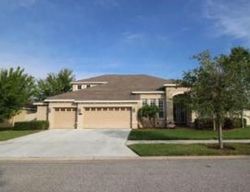 Pre-foreclosure in  RAVENS END DR Tampa, FL 33647