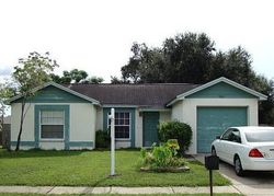 Pre-foreclosure in  TAYWOOD DR Tampa, FL 33624
