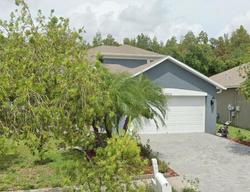 Pre-foreclosure in  GRANT CREEK DR Tampa, FL 33647