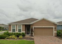 Pre-foreclosure in  PAINTED LEAF WAY Clermont, FL 34714