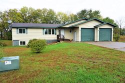 Pre-foreclosure in  TANGLEWOOD CT Pepin, WI 54759