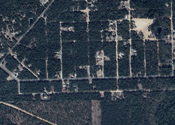  Glades St, Florahome FL