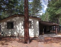 Pre-foreclosure in  S 26TH AVE Show Low, AZ 85901