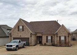 Pre-foreclosure in  BUTTERFLY VIEW LN Memphis, TN 38133