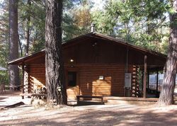 Pre-foreclosure Listing in LOG CABIN LN FORESTHILL, CA 95631