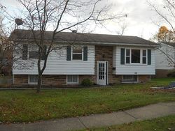 Pre-foreclosure in  LOUISE RITA CT Youngstown, OH 44511