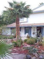 Pre-foreclosure in  ELIZABETH AVE UNIT 3 Las Vegas, NV 89119