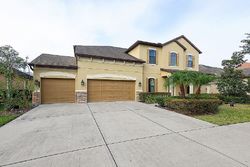 Pre-foreclosure in  HAMPTON LAKE DR Tampa, FL 33647